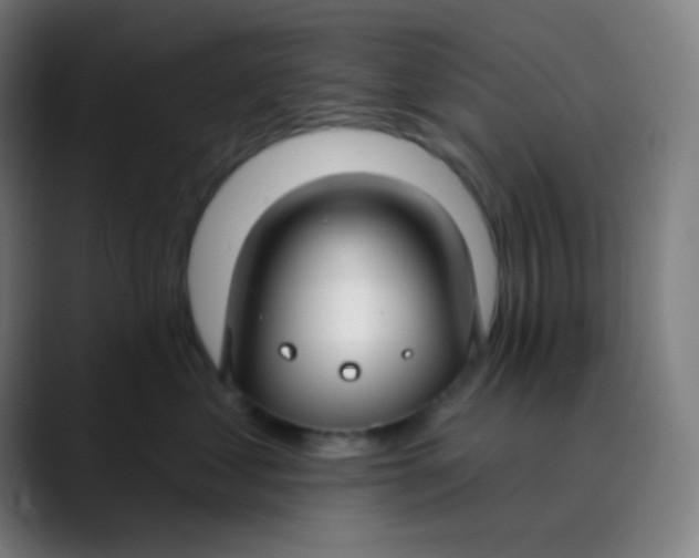 X0000089740621200707121508