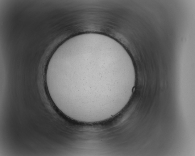 X0000089740625200707121508