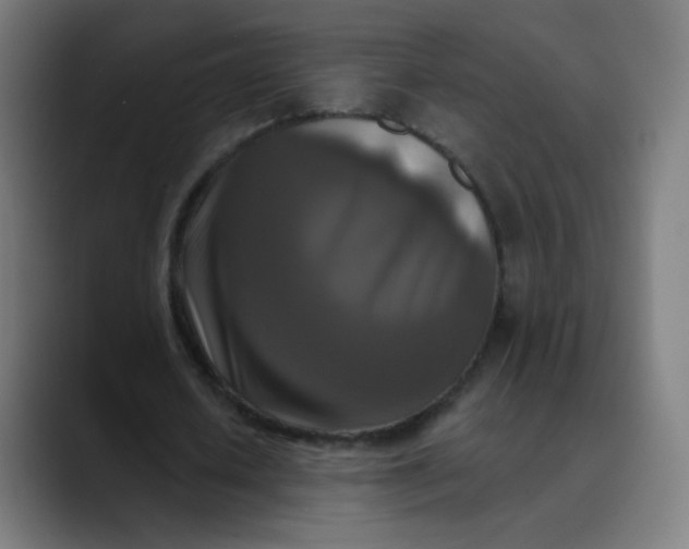 X0000089740626200707121508