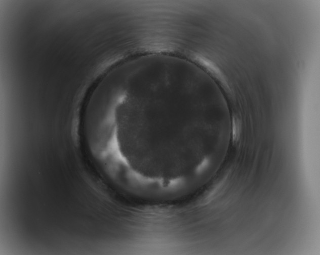 X0000089740627200707121508