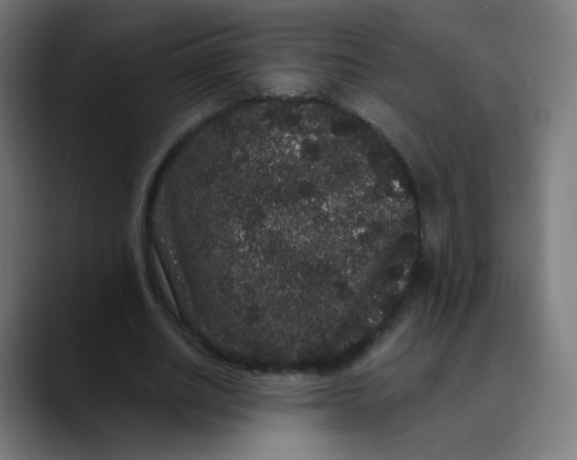 X0000089740630200707121508