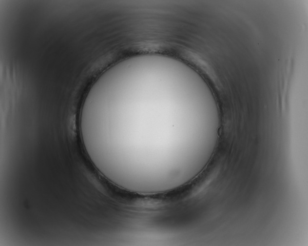 X0000089740633200707121508