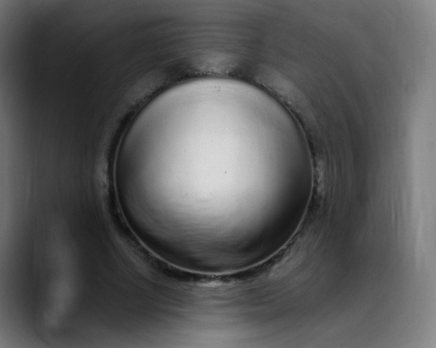 X0000089740634200707121508