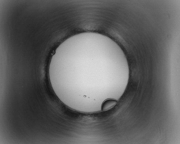 X0000089740635200707121508