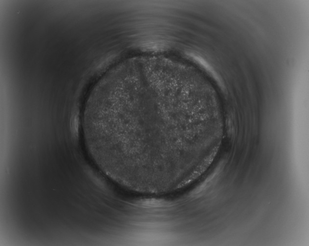 X0000089740637200707121508