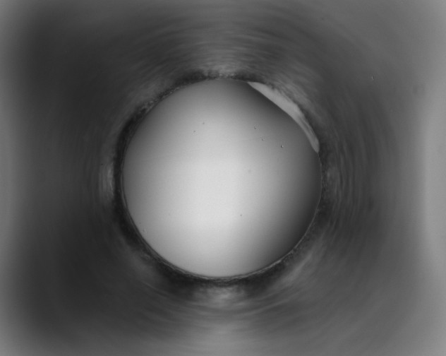 X0000089740638200707121508