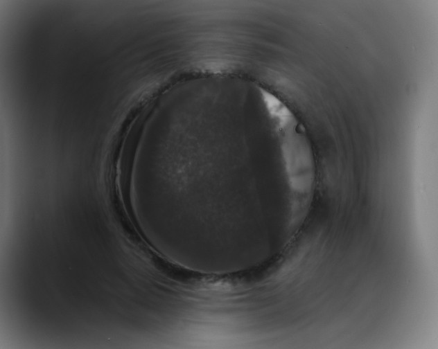 X0000089740640200707121508