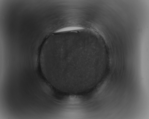 X0000089740641200707121508