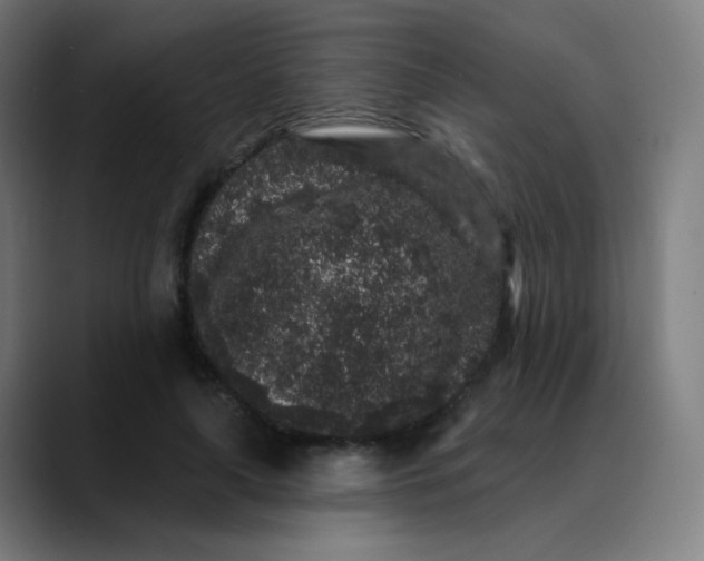 X0000089740643200707121508