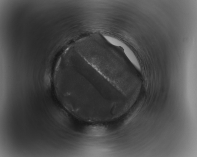 X0000089740644200707121508