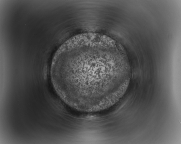 X0000089740647200707121508