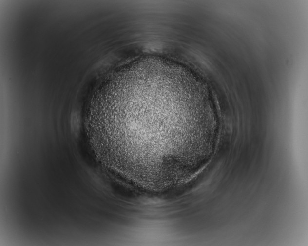 X0000089740648200707121508