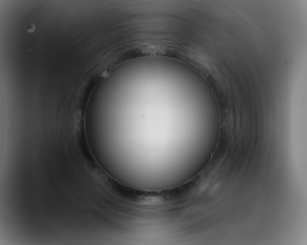 X0000089740649200707121508