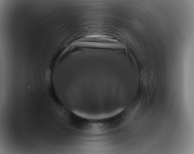 X0000089740650200707121508