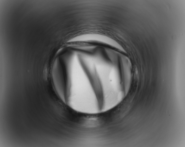 X0000089740651200707121508