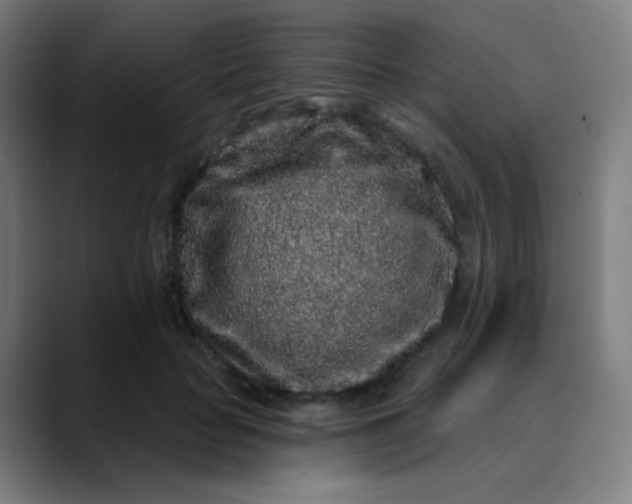 X0000089740653200707121508