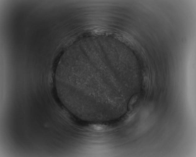 X0000089740654200707121508