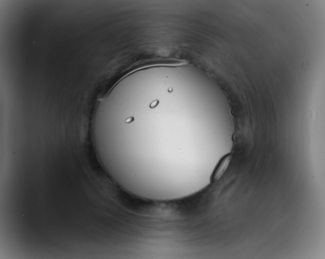 X0000089740656200707121508