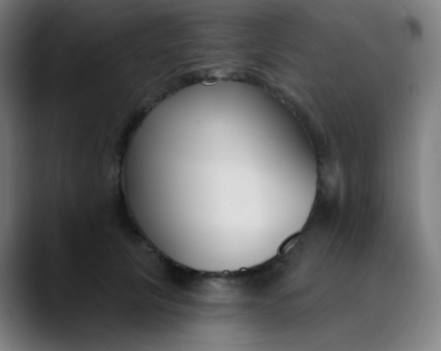 X0000089740657200707121508