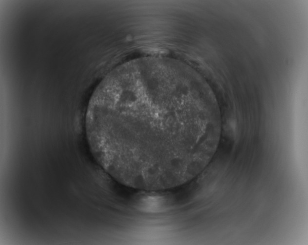 X0000089740658200707121508