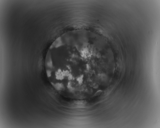 X0000089740659200707121508