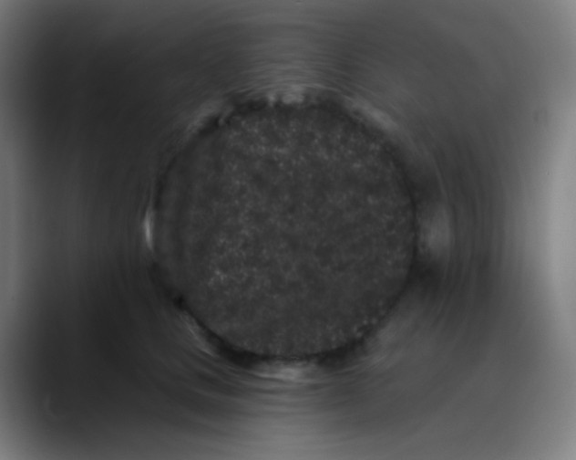 X0000089740661200707121508