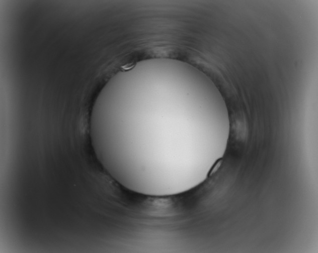 X0000089740665200707121508