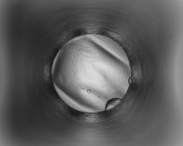 X0000089740667200707121508