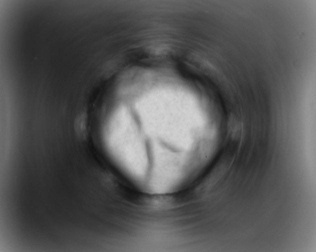 X0000089740670200707121508