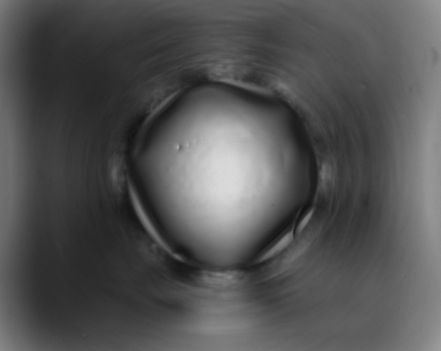 X0000089740671200707121508