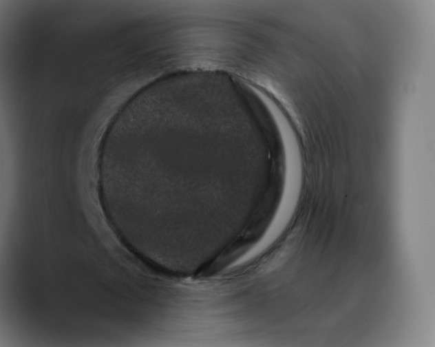 X0000089740673200707121508