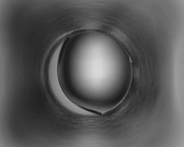 X0000089740676200707121508