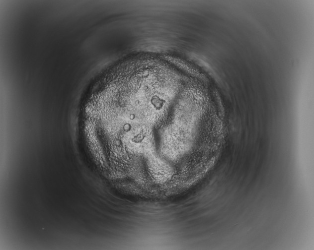 X0000089740679200707121508