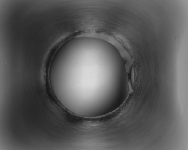 X0000089740680200707121508