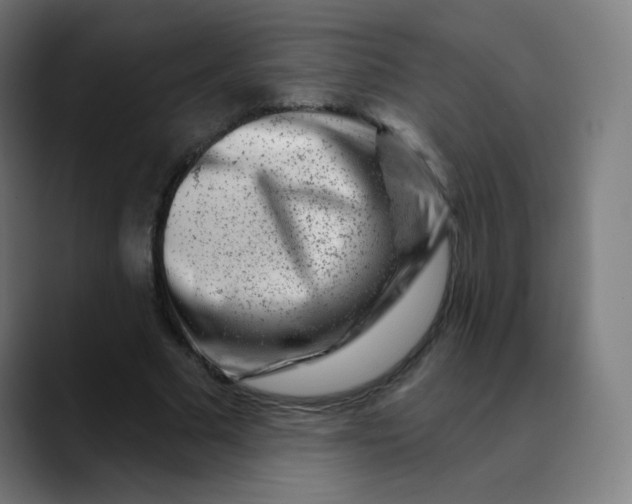 X0000089740681200707121508