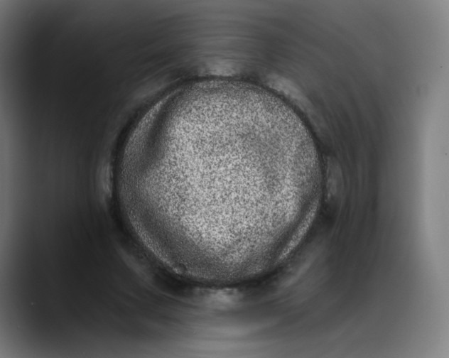 X0000089740683200707121507