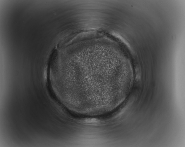 X0000089740685200707121507