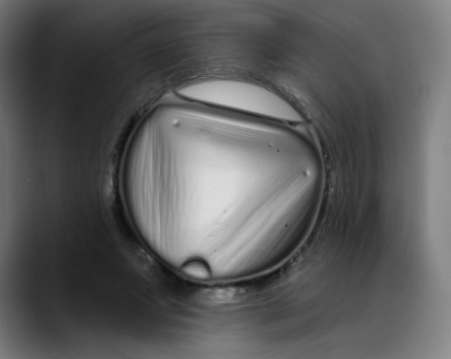 X0000089740687200707121507