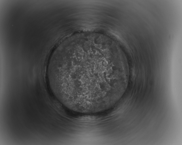 X0000089740691200707121507