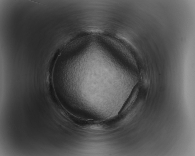 X0000089740692200707121507