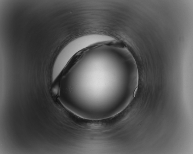 X0000089740693200707121507