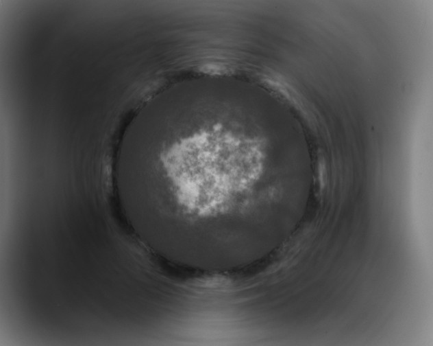 X0000089740696200707121507