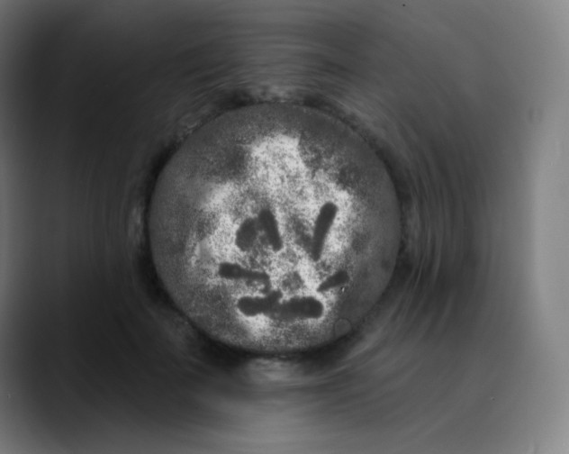 X0000089740699200707121507