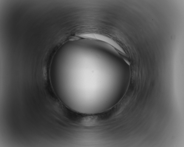 X0000089740700200707121507