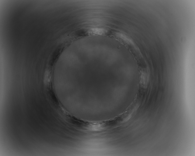 X0000089740701200707121507