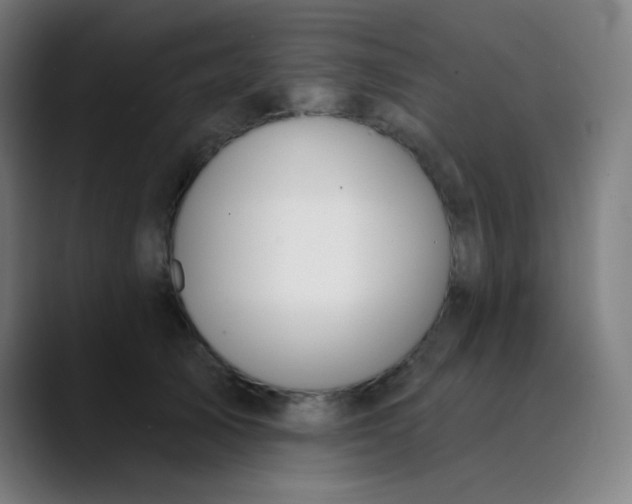 X0000089740705200707121507