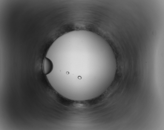 X0000089740706200707121507