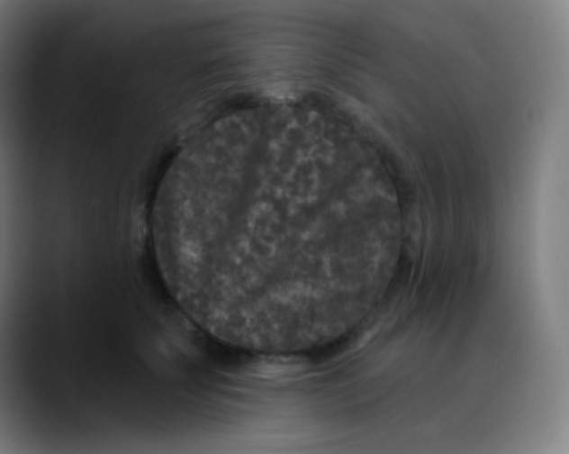 X0000089740707200707121507