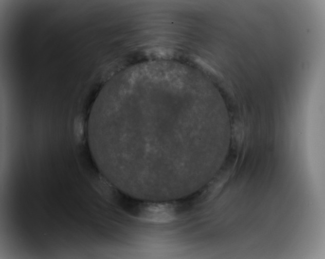 X0000089740709200707121507