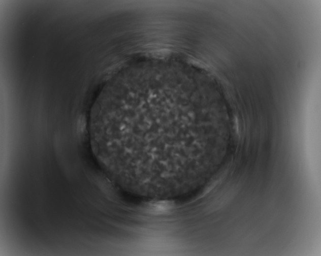 X0000089740711200707121507